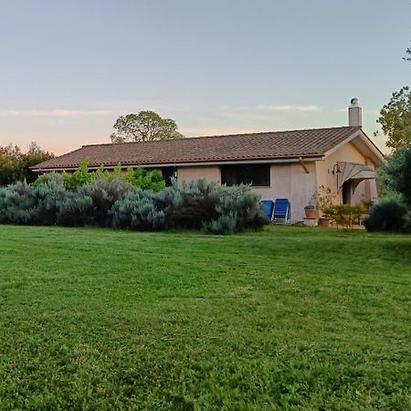 Agriturismo Fontelupo Bracciano  Exterior foto
