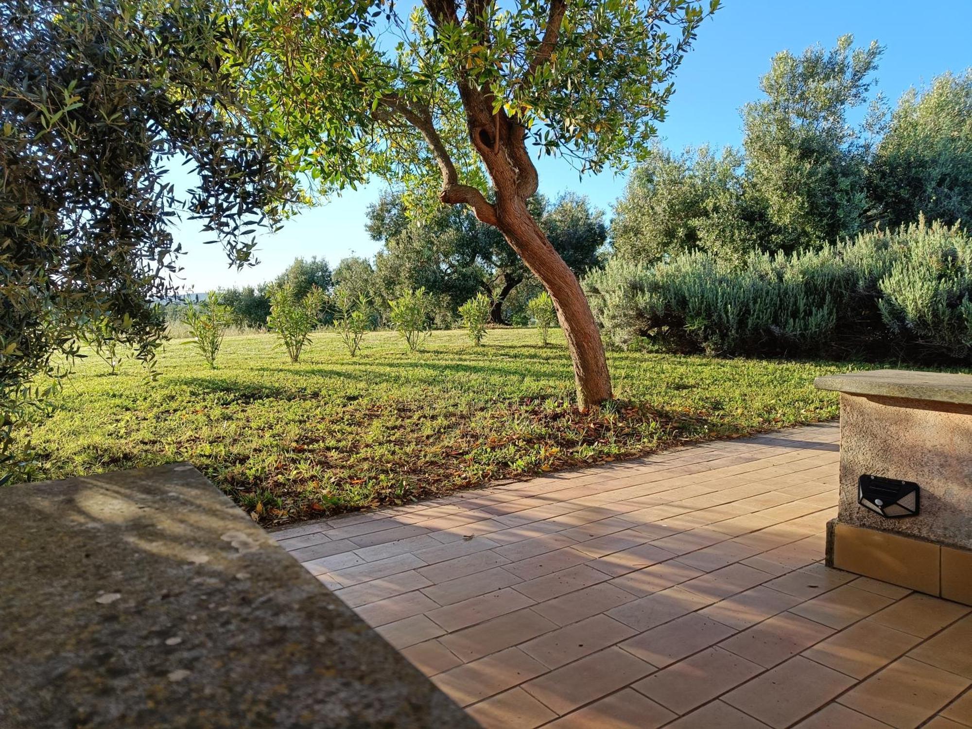 Agriturismo Fontelupo Bracciano  Exterior foto