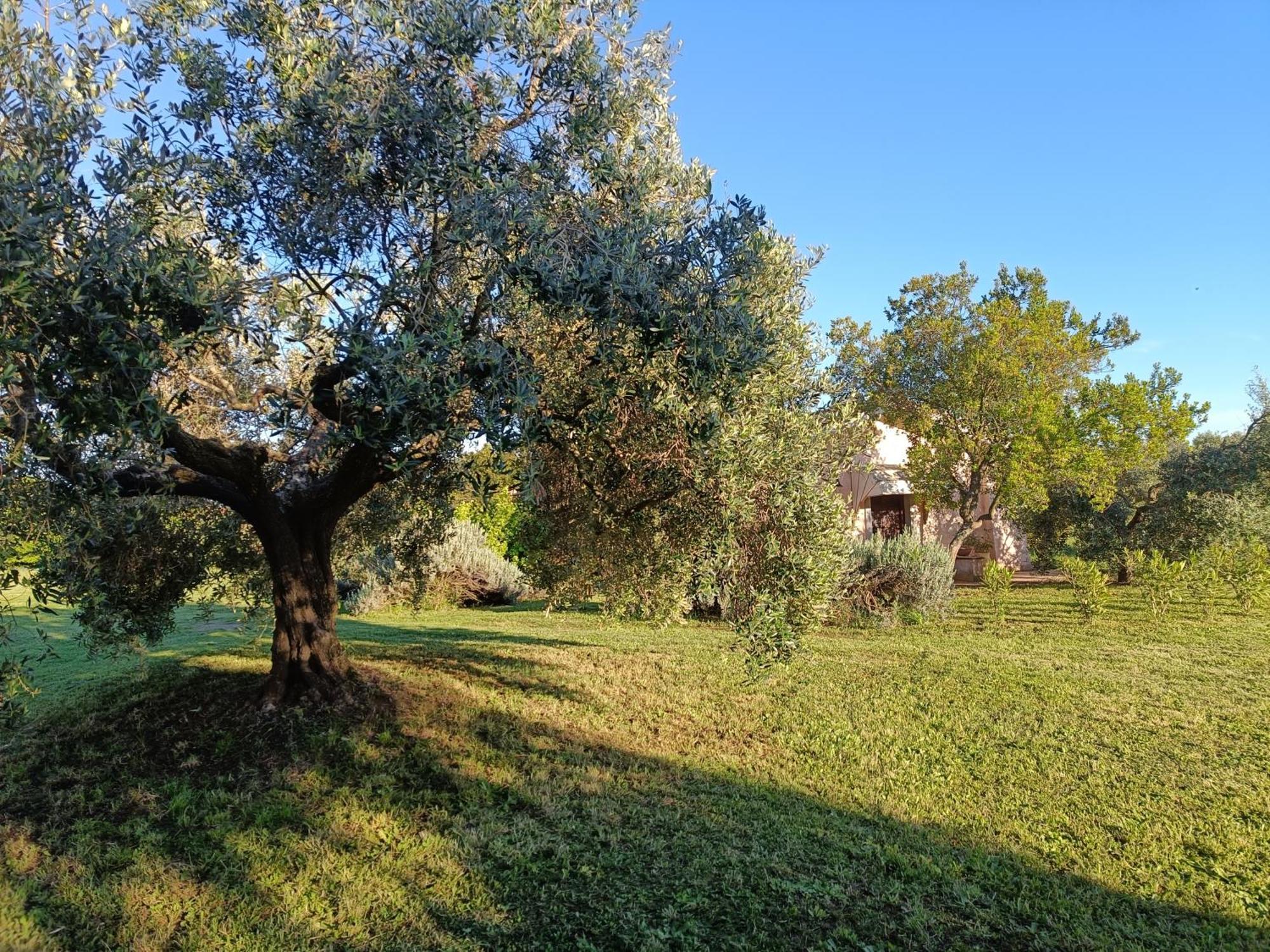 Agriturismo Fontelupo Bracciano  Exterior foto